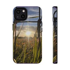 Impact-Resistant Cases